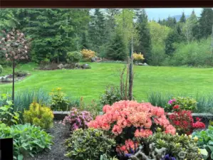 View To Back Planter