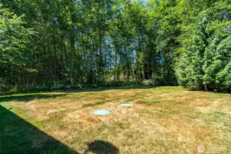 Expansive, private backyard surrounded by lush Pacific Northwest trees and a natural greenbelt buffer—perfect for those seeking space, serenity, and the beauty of country living. This flat, usable outdoor area offers endless potential for a future garden, fire pit, or simply enjoying peaceful moments in nature. Mature trees provide shade, privacy, and a picturesque forested backdrop. Whether you're envisioning outdoor entertaining, letting pets roam, or building your dream backyard oasis, this secluded setting offers the ideal canvas. Enjoy true rural tranquility just outside your door.