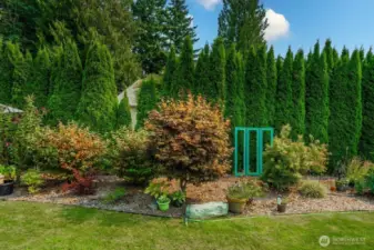 Every where you look you will find unique plantings.  Have you ever heard of a peanut butter tree....well there's one in the back yard. Amazing landscaping
