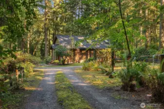 Enchanting driveway feels so private and magical!