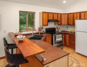 Gorgeous cabinets, Paperstone counters, lots of storage and counter space.