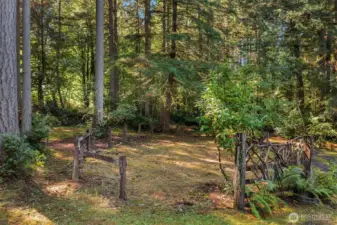 Rejuvenate this space for a garden or for pets.