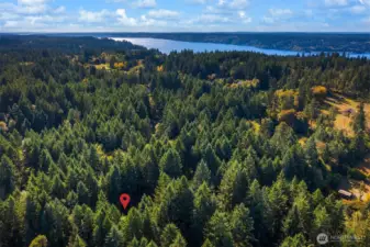 Home sits on the magical isle of Vashon; a retreat from the bustle of Seattle and Tacoma but within such easy reach of the cities, the mountains and the wider Puget Sound. Discover the possibilities!