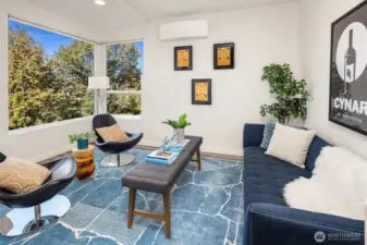 Lower level bedroom / flex space