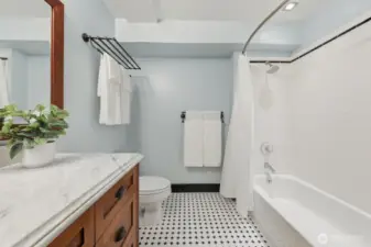 Bathtub shower in primary bathroom.