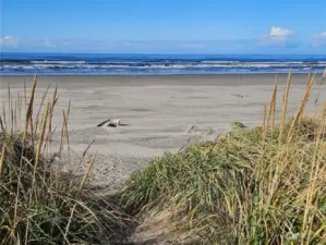 and leads to clams, kite flying and beach-combing!