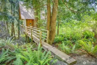 Play House