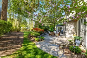 The rear patio