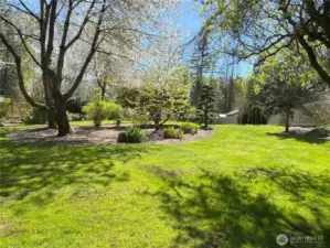 More backyard landscape