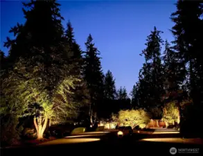 Entry lighting at dusk (and it continues into and throughout the backyard)