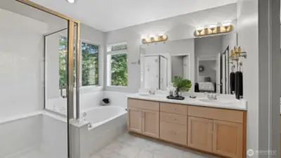 A large light & bright 5 piece primary bath.  A corner soaking tub allows a perfect private relaxing time.