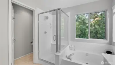 Heated tile floor, a large walk-in closet with a peaked ceiling and marble counters.