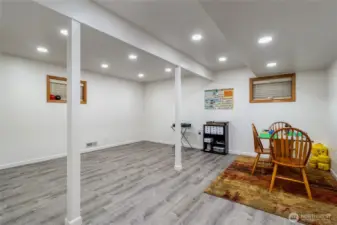 Basement Bonus Room