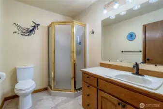 Main Floor Guest Bath