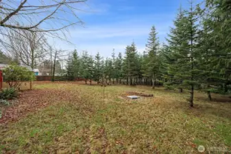 Backyard with Scenic View