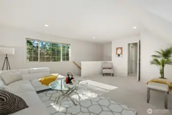 Spacious upper-level bonus room. Perfect for play, gym, office, crafts, etc.