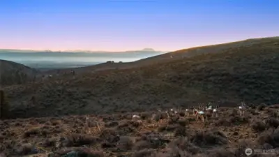 900 acre wild life conservancy - Secret Canyon