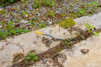 30 amp & 50 amp electricity on property