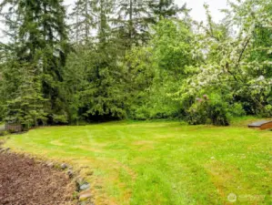 View 2 of Back Property