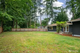 Spacious backyard