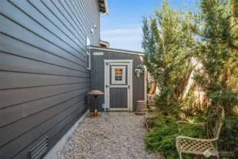 Custom shed with electric