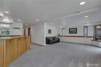 Large lower level rec room