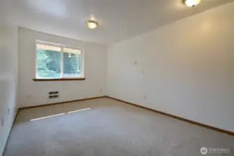 First bedroom. walk-in Closet with closet orginizer and  new carpet 2025.