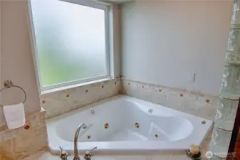 Jetted tub with privacy glass window.