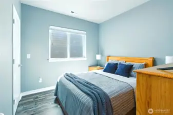 Lower level bedroom