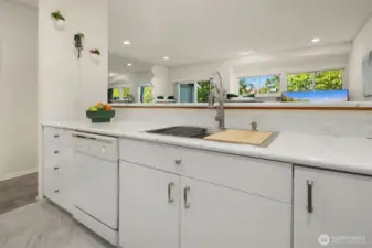 New Chef's Sink