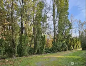 Side View from Neighbors