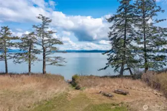 Sweeping water views framed by mature evergreens, capturing the serene natural beauty and year-round vistas this San Juan Island waterfront estate provides.
