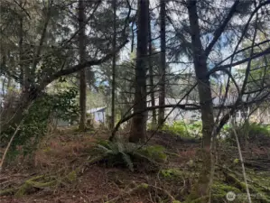 With a little effort, you can make a great west side lot even better!