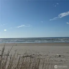 Live and play on the beach!