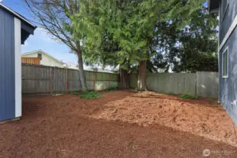 Back yard with storage shed and alley access