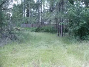 Another neighboring fence near the western property boundary.