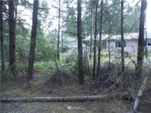 One of the homes near the western property line.