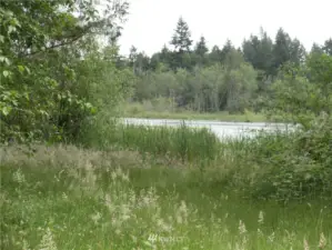 View of lake from near the eastern property line.