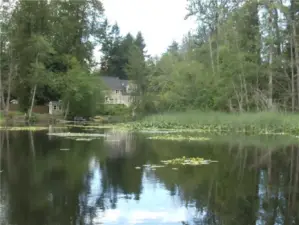 View of lake looking west from the dock showing entryway to the slough with property on the right.