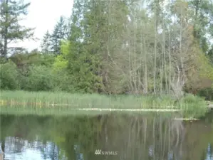 View of lake frontage near the eastern property boundary from the dock.