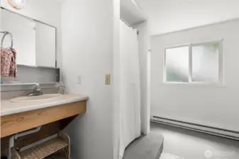 Lower level bathroom