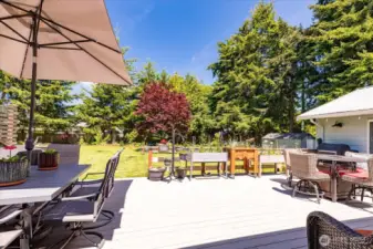 Trek deck with loads of sun!