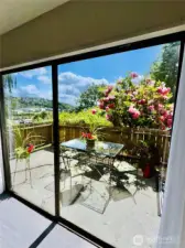 This south wall has 2, 8 foot patio doors that are in the process of being replaced.
