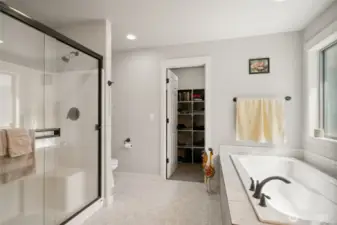 11975 Primary bathroom and walk-in closet