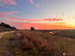 Property sunset view