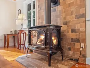 Propane Fireplace