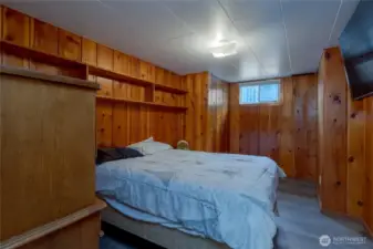 Bonus Room in Basement