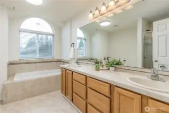 5-Piece primary bathroom