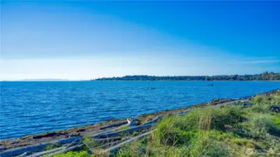 Birch Bay - Cannot get better than this!