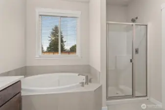 Primary bathroom comes with a standard separate walk-in shower with glass door and a separate, private water closet.